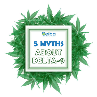 5 Myths About Delta 9 THC You Need to Stop Believing